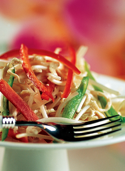 Chicken Bean Sprout Salad